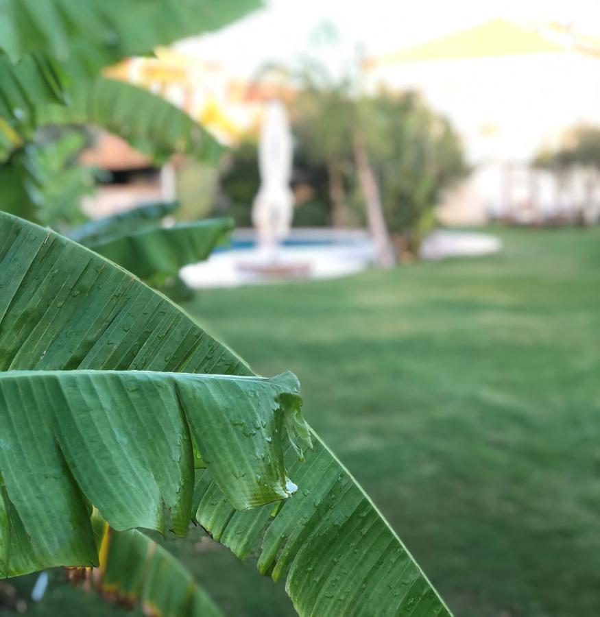 Triangulo Hotel 알라카티 외부 사진